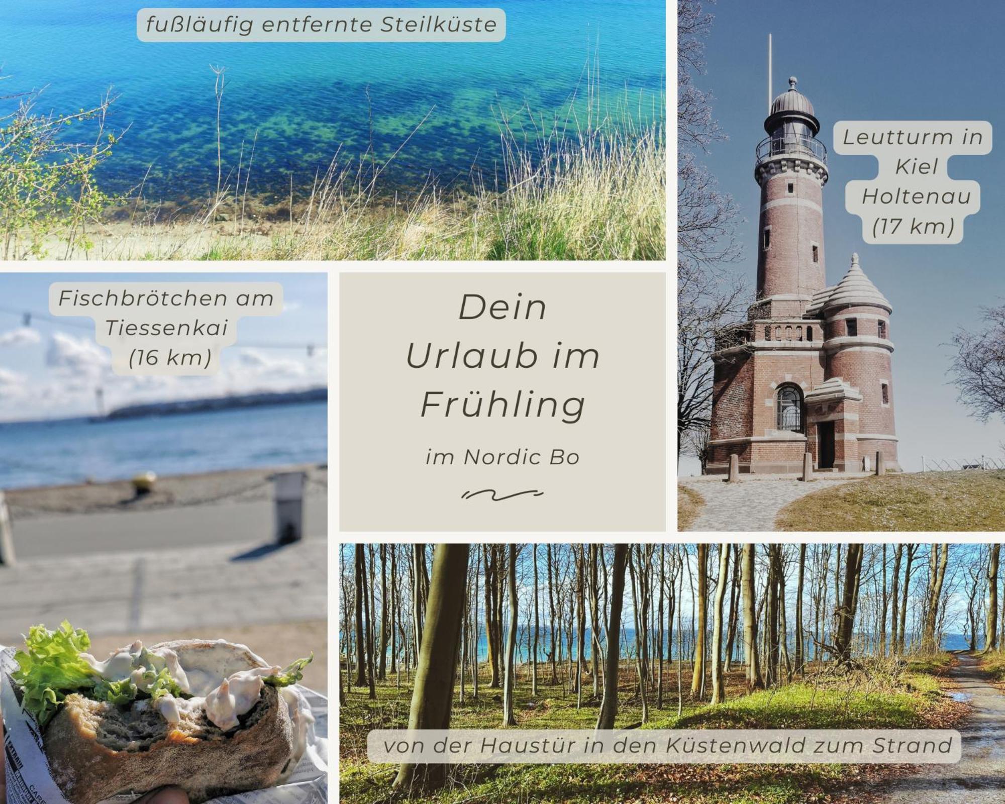 Nordic Bo -Wellen Wald Und Wilde Kueste- Strandnahe Doppelhaushaelfte Mit Waldterrasse Surendorf Extérieur photo